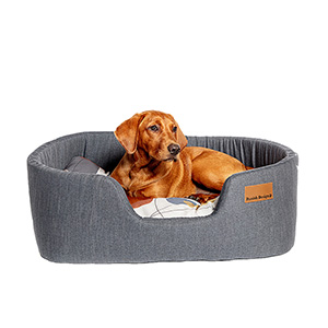 Pets at home xxl dog outlet bed