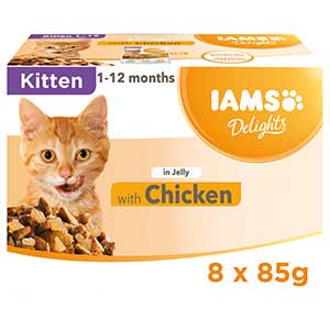 Iams kitten food store wet