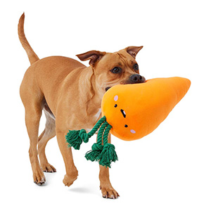 American Dog Carrot Dog Toy - Large