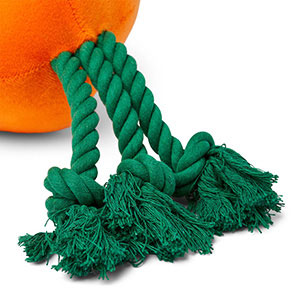 Pets at Home Christmas Carrot Plush Dog Toy