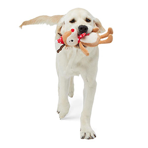 Cute Christmas Reindeer Squeaky Dog Toys, Interactive Durable Plush Dog Toys  for Teething or Treating, Dog Chew Toy with Food Dispensing, Dog Puzzle Toys  for Small and Medium Dogs 