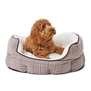 Wainwrights memory on sale foam dog bed