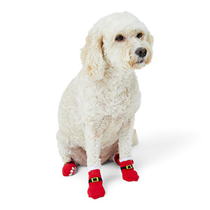 dog socks christmas