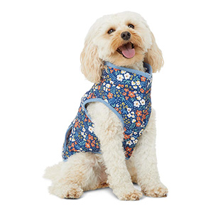 Harry Barker Floral Dog Jacket Blue Pets At Home