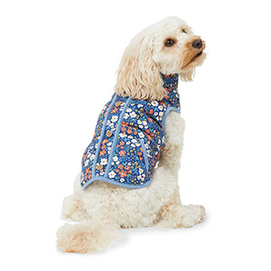 Bond and company outlet dog clothes