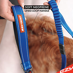 Ezydog store shock lead