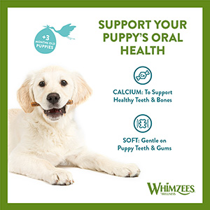 Whimzees Puppy Natural Daily Dental Treats X Small Small 28 Pack