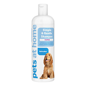 Dog shampoo at store home