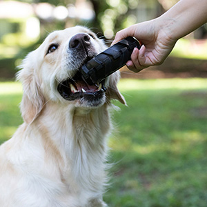 Dog cheap chew tire