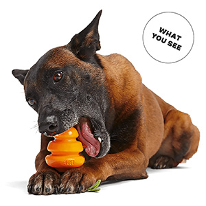 Super chewer deals dog toys