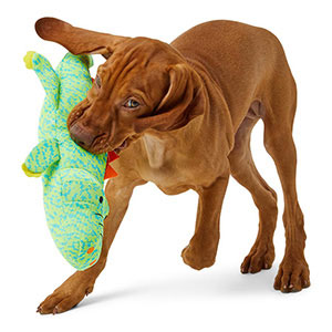 Pets At Home Squeaky Alligator Knitted