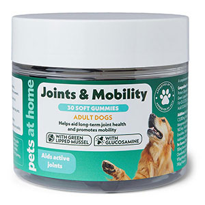 Pets at cheap home glucosamine