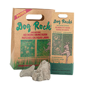 Pets at on sale home dog rocks