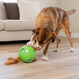 Nina Ottosson Outward Hound Snuffle N' Treat Ball Dog Toy | Pets At Home