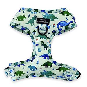 Dinosaur cheap dog harness