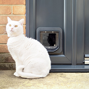 Automatic cat flap sales microchip