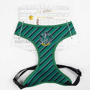 Harry Potter Girls Hogwarts Underwear Pack of 4 Multicoloured Size 6 :  : Clothing, Shoes & Accessories