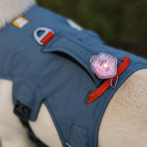 Ruffwear webmaster harness pets at outlet home