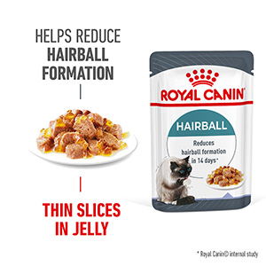 Royal Canin Hairball Care Wet Adult Cat Food in Jelly 12 x 85g