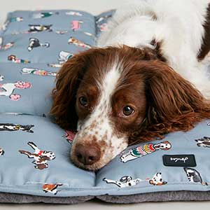 Joules travel on sale nap pet bed