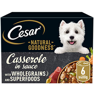 Cesar pet outlet food dog