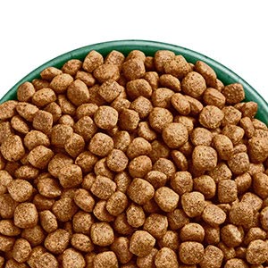 Wellbeloved grain clearance free dog food