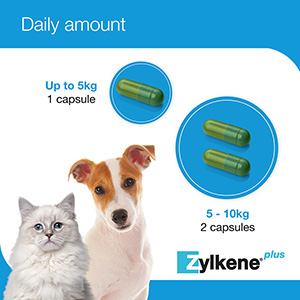 Zylkene discount dose chart