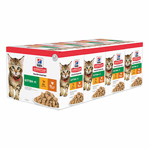 Science plan kitten outlet food