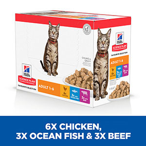 Science plan cat food pets cheap at home