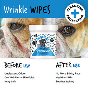 Biodegradable dog outlet wipes