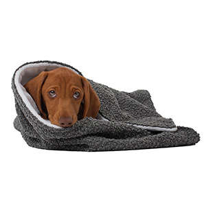 Pets at home store blanket