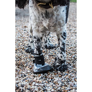 Mikki 2025 dog boots