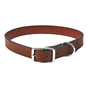 Pets at Home Basic Leather Dog Collar Brown | Pets At Home