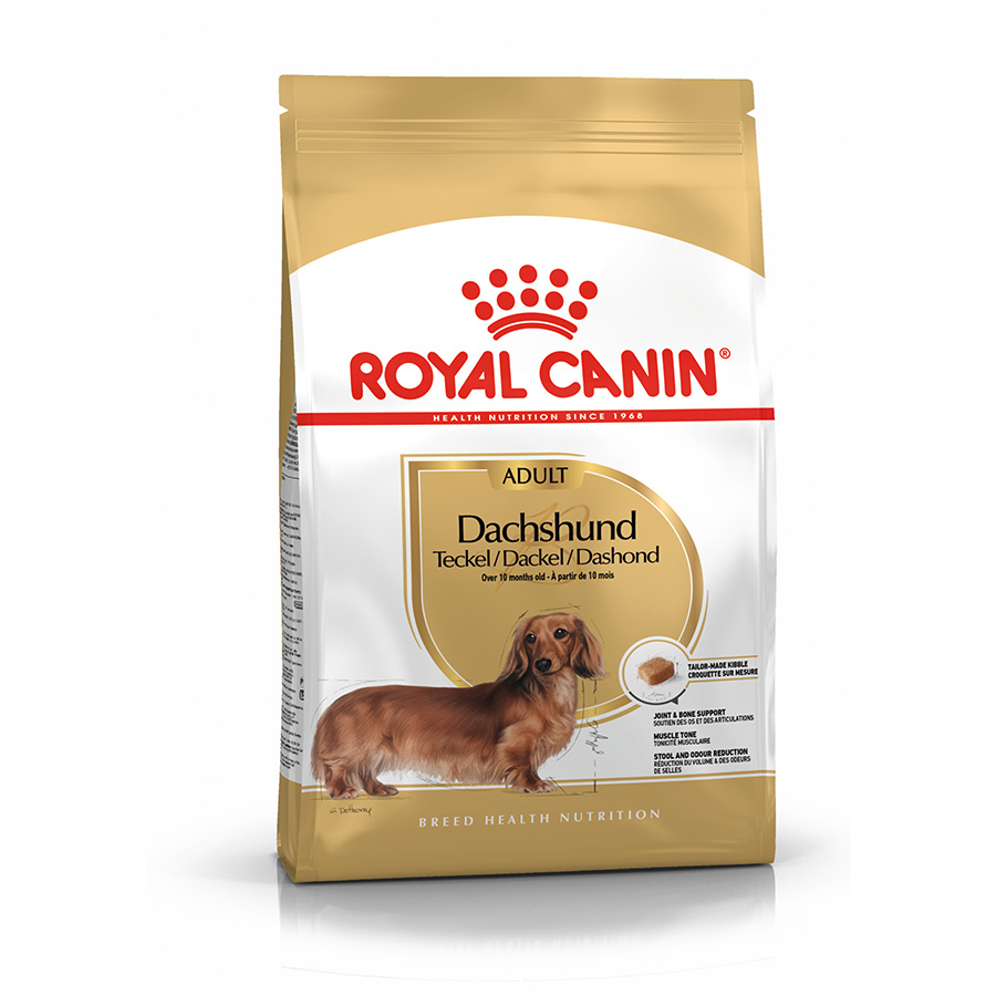 Royal Canin Breed Health Dachshund Dry Adult Dog Food 7.5kg | Pets At Home