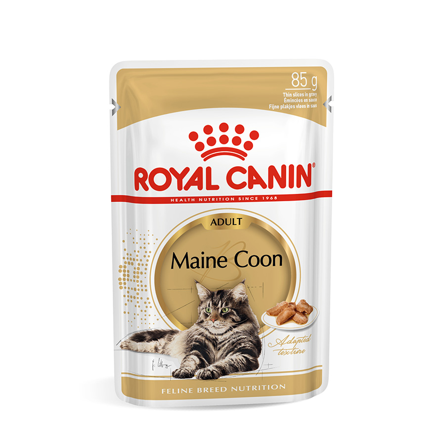 Royal Canin Feline Maine Coon Wet Adult Cat Food Chunks In Gravy 12 x ...