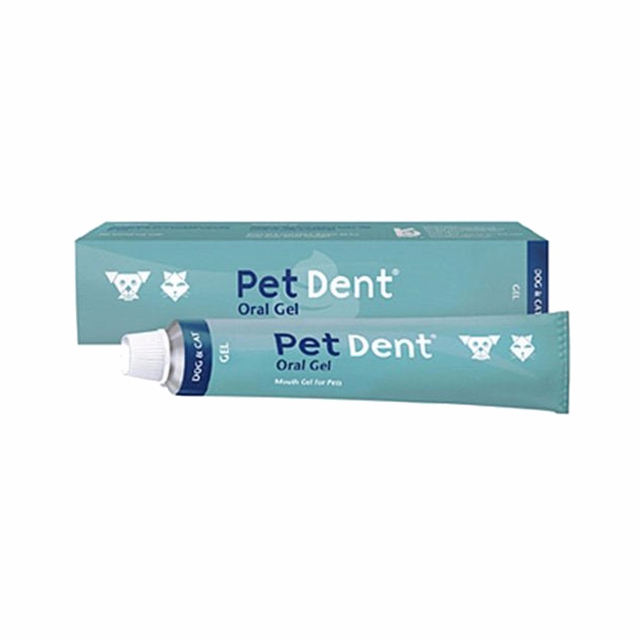 Pet Dent Toothpaste for Dogs and Cats 60g Pets At Home