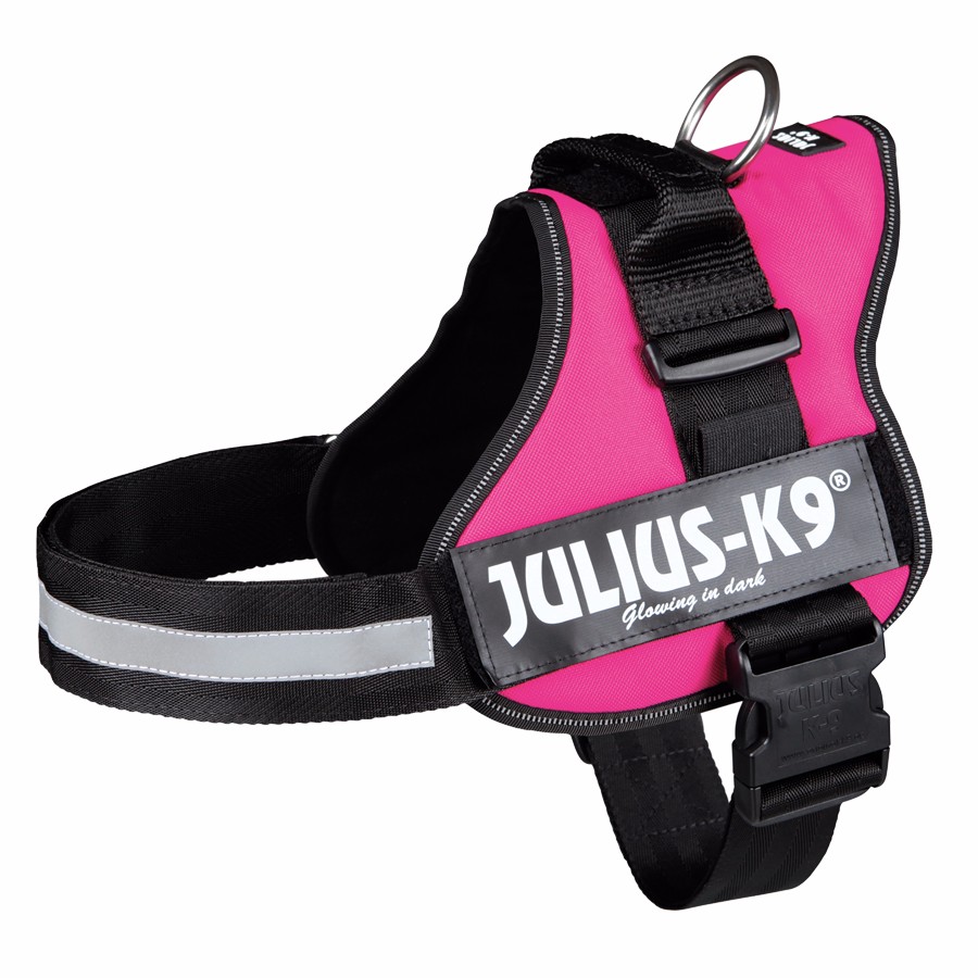 JuliusK9 Powerharness Dog Harness Fuchsia XL/2 Pets At Home