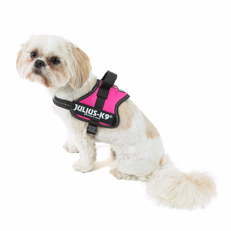 Julius-K9 Powerharness Dog Harness Fuchsia XS/Mini-Mini | Pets At Home