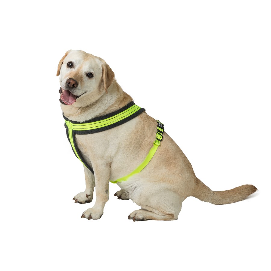 3 Peaks Fleece Lined Dog Harness Neon/Grey X Large | Pets At Home