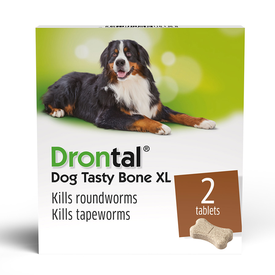 Drontal Tasty Bone XL Wormer Tablets for Dogs 20kg and Over 2 pack Pets At Home