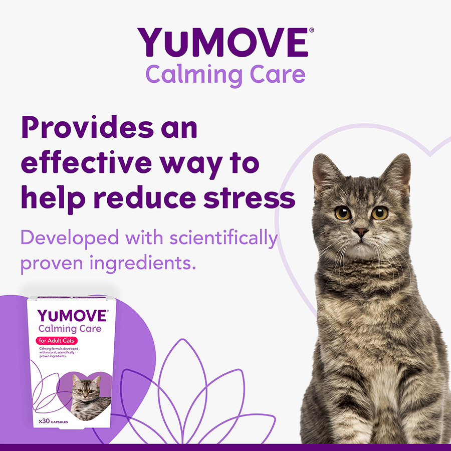 YuMOVE Calming Care for Adult Cats 30 Capsules | Pets At Home