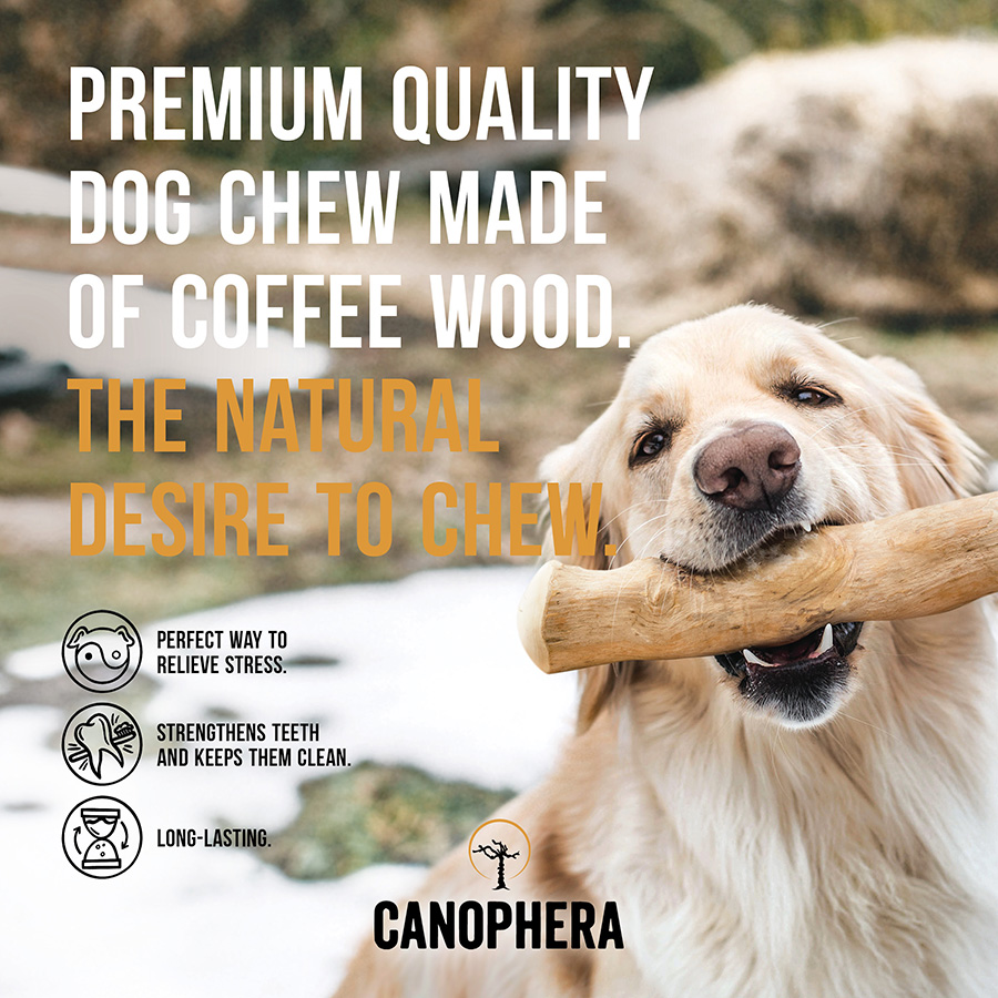 Canophera Dog Chew Stick Made Of Coffee Tree Wood Medium 240g | Pets At