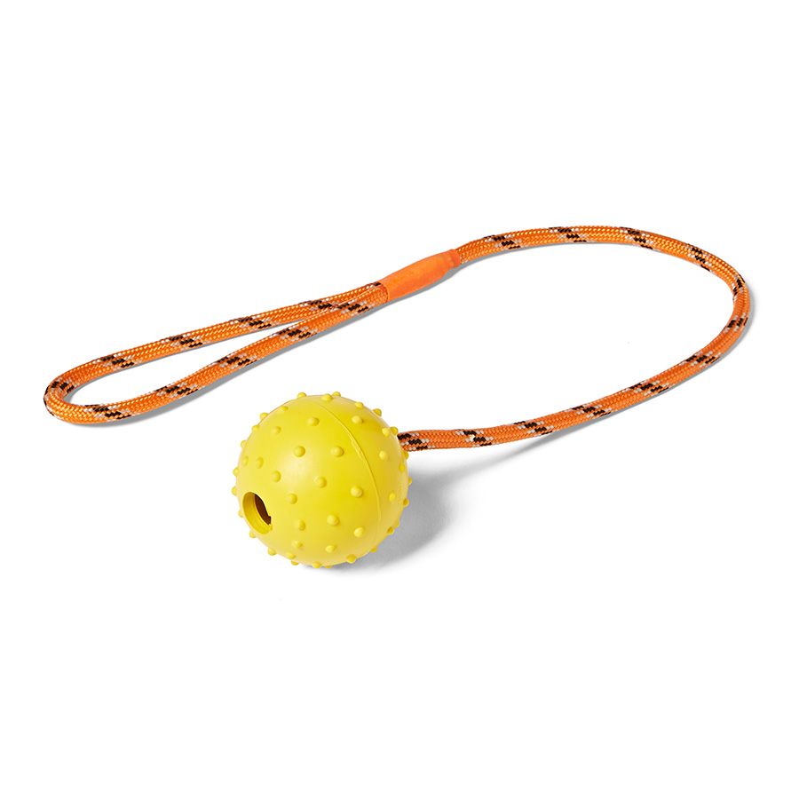 Pets at Home Rubber Ball on Rope Dog Toy | Pets At Home