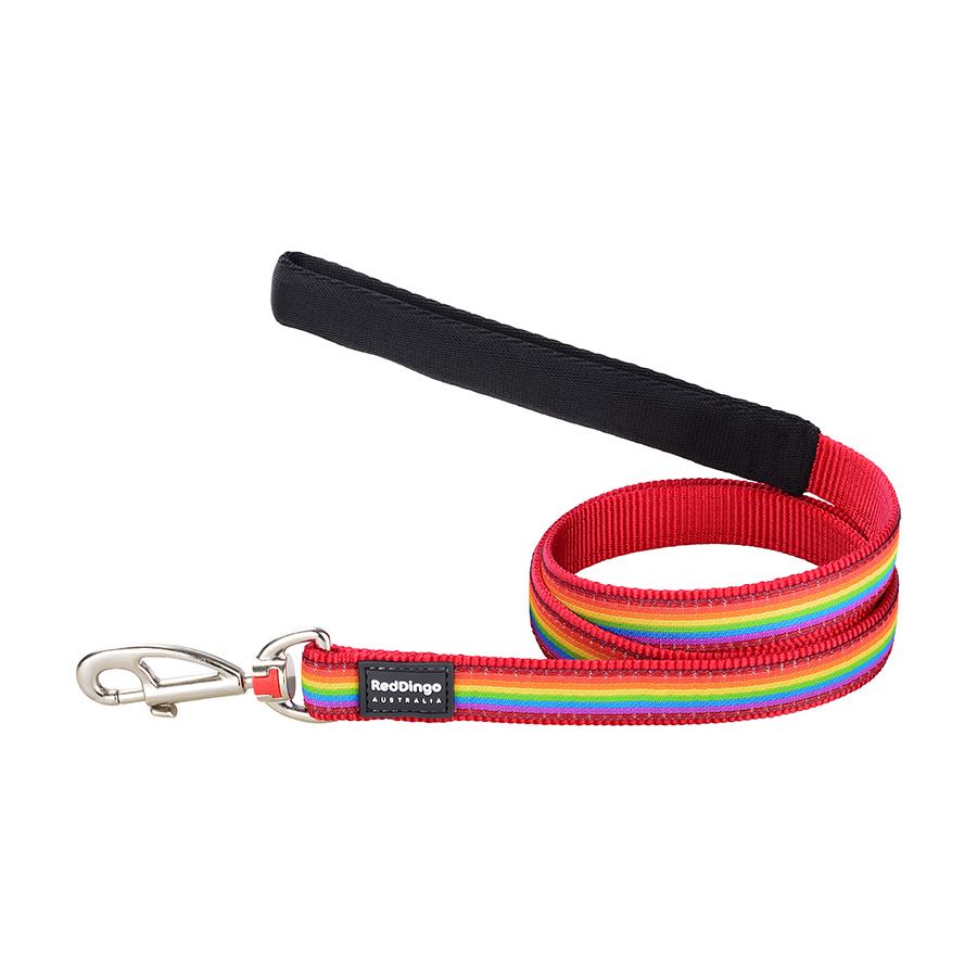 Red Dingo Rainbow Dog Lead Medium | Pets At Home