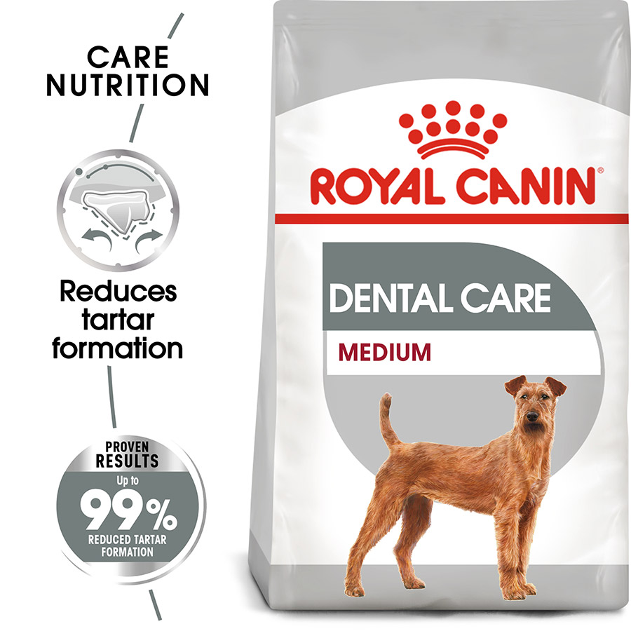 royal canin dental dog
