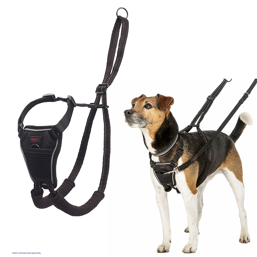 Halti No Pull Dog Harness Black | Pets At Home