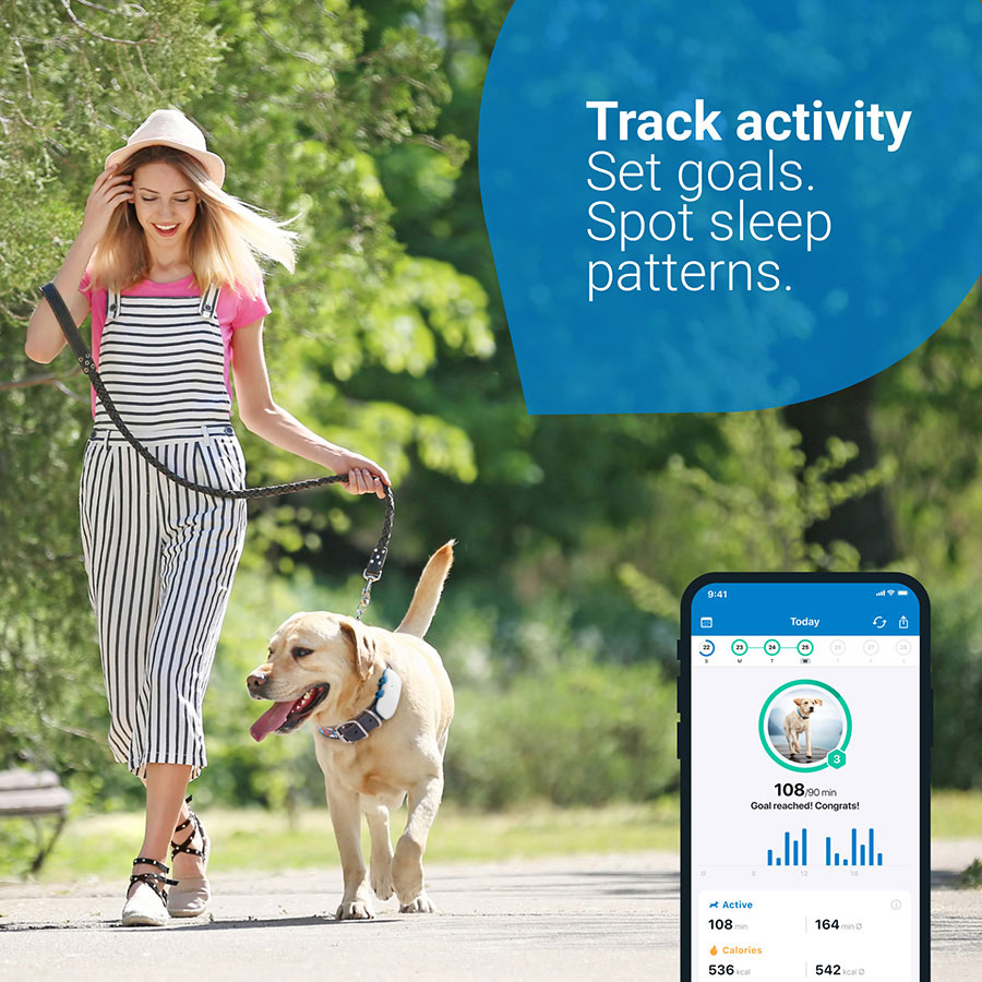 Tractive GPS Dog 4 Tracker And Activity Monitor White | Pets At Home