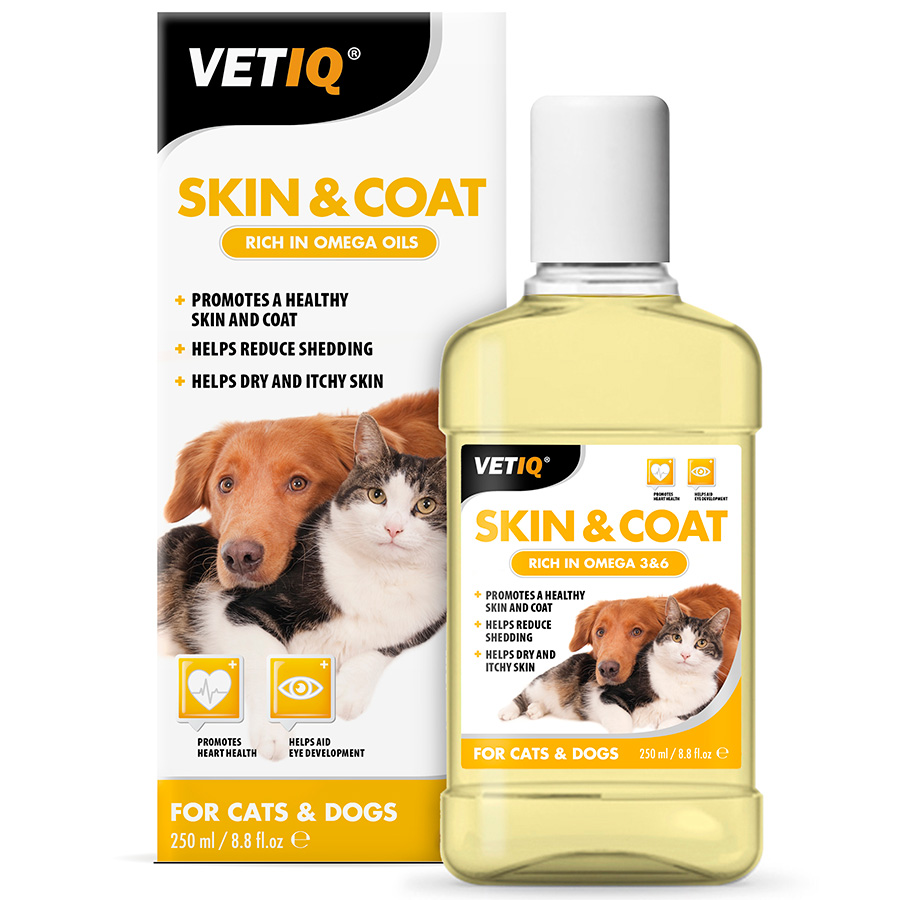 Vegetable oil for cats dry skin