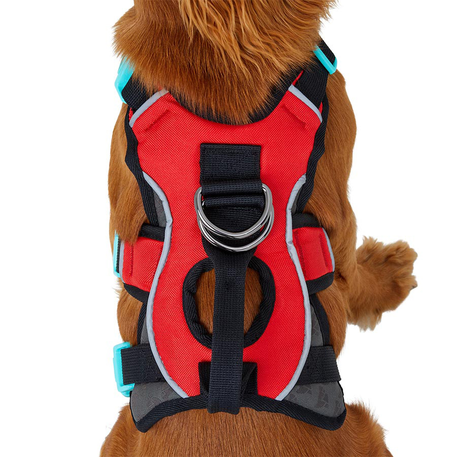 3 peaks excursion harness