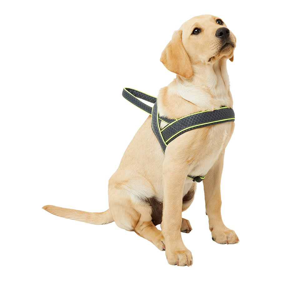 3 Peaks Profile Dog Harness Yellow | Pets At Home